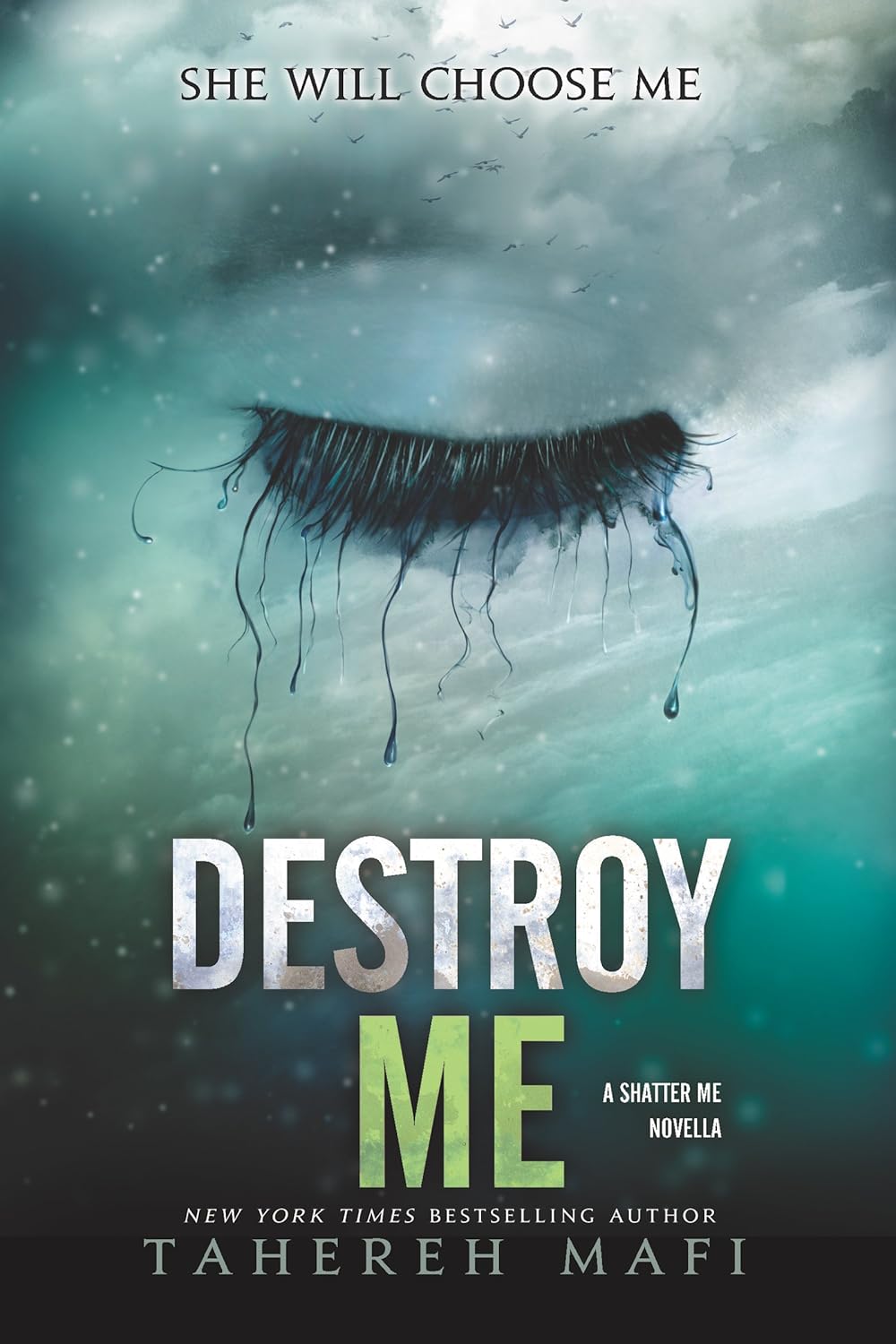 Destroy Me (Shatter Me, #1.5) by Tahereh Mafi