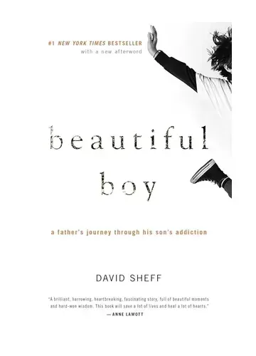 Beautiful Boy by David Sheff