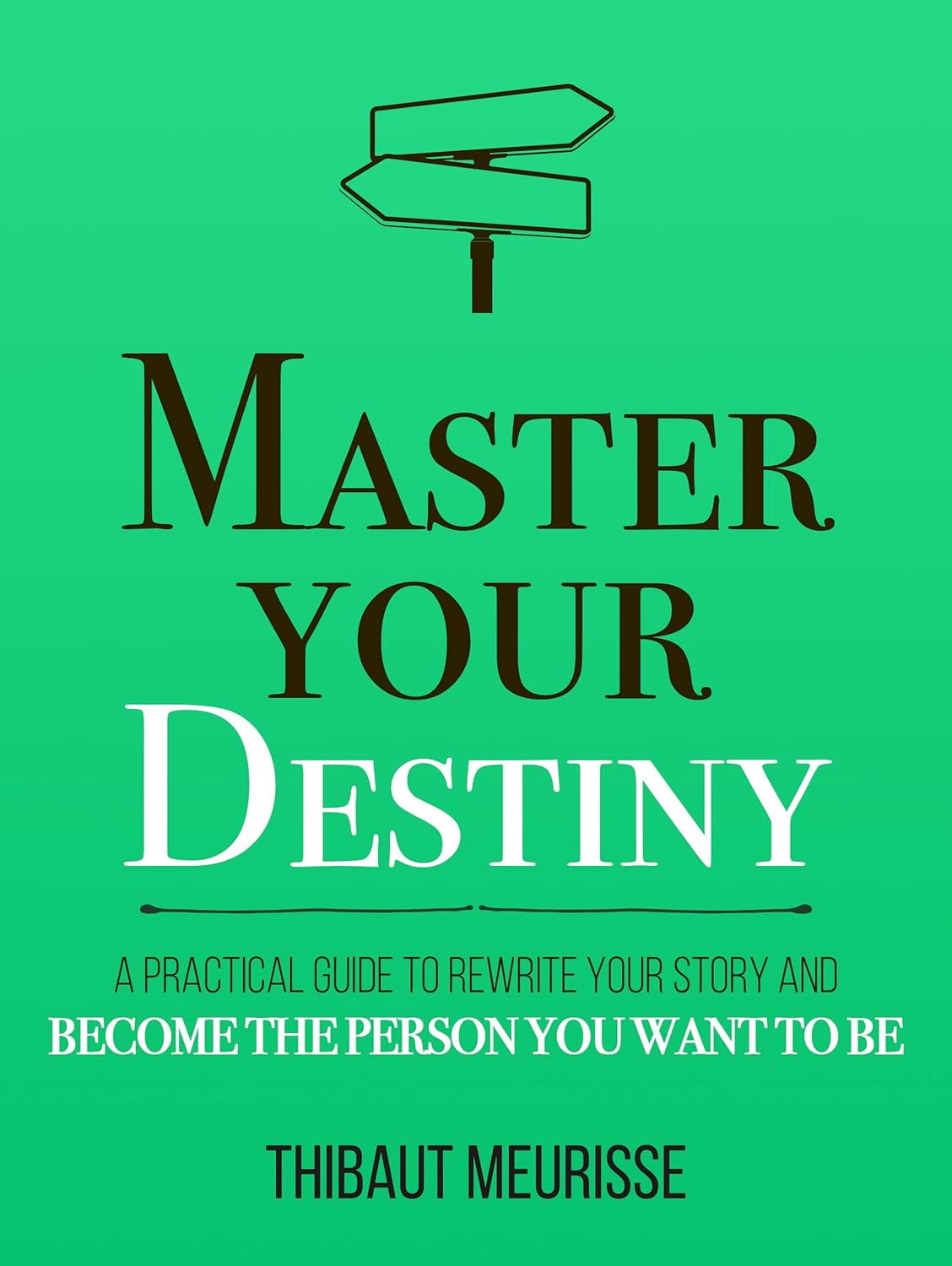 Master Your Destiny by Thibaut Meurisse